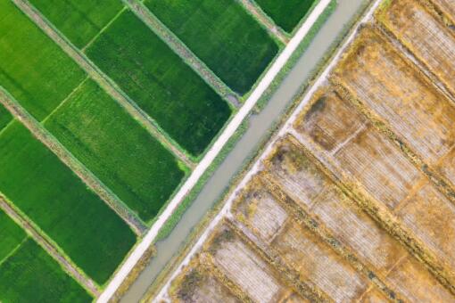 2024年新疆和田市耕地地力保护补贴政策-摄图网